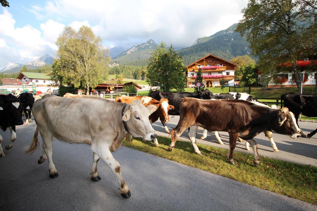 Ivos Sonnenpension Leutasch Dış mekan fotoğraf